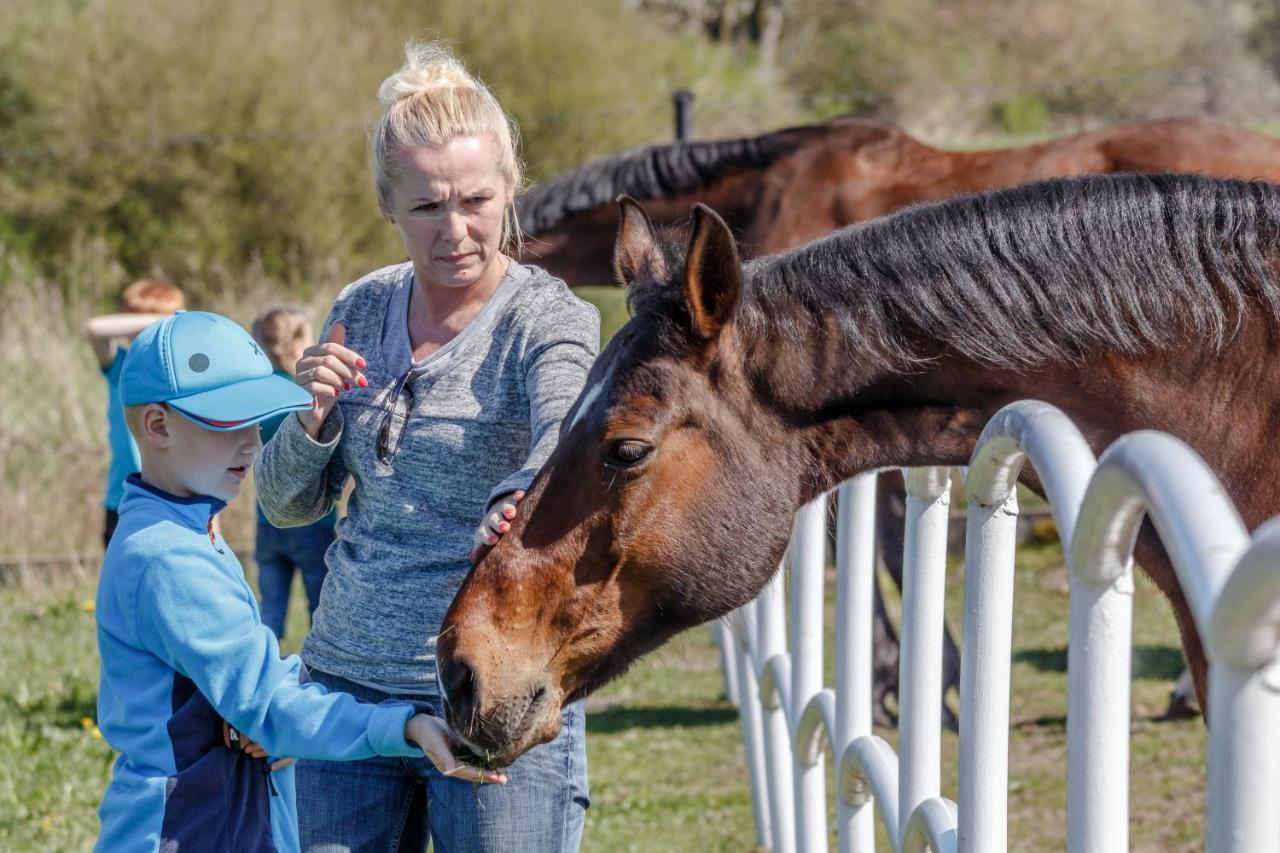 Palac Pod Bocianim Gniazdem Runowo  Bagian luar foto